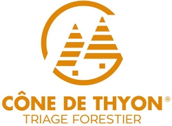 Cône de Thyon