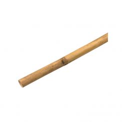 Tuteur en bambou Grandeur: 300, Longueur mm: 3000